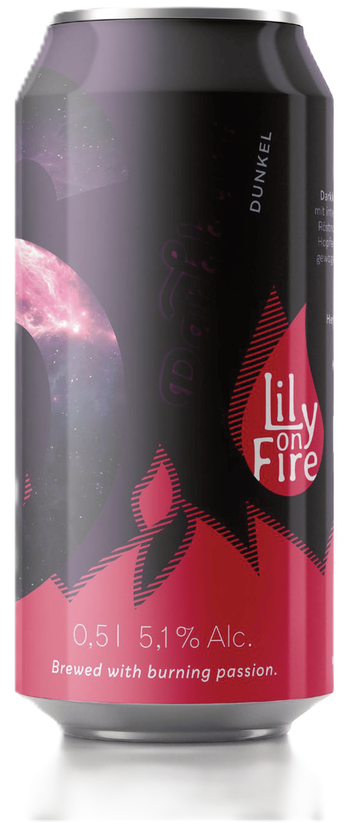 Darkkurt (24 x 0,5 l) – Bild 1